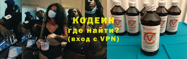 шишки Осинники