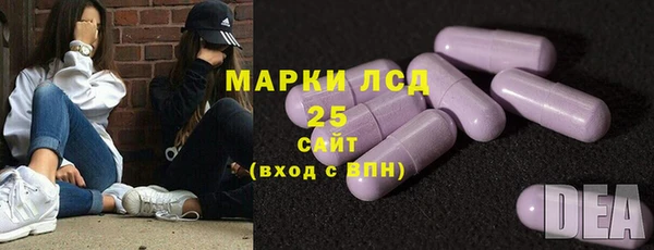 шишки Осинники