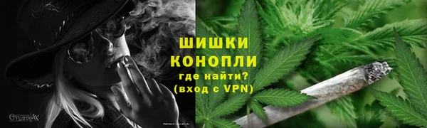 шишки Осинники