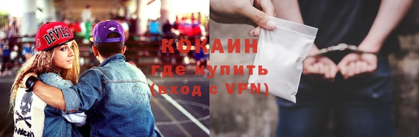 шишки Осинники
