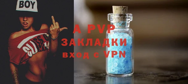 шишки Осинники
