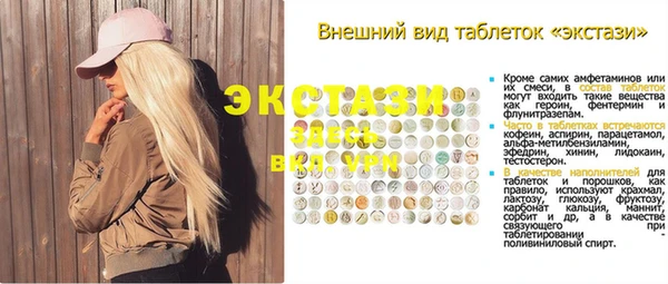 шишки Осинники