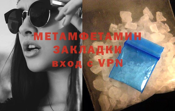 шишки Осинники