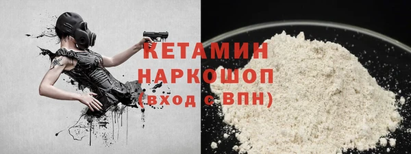 шишки Осинники